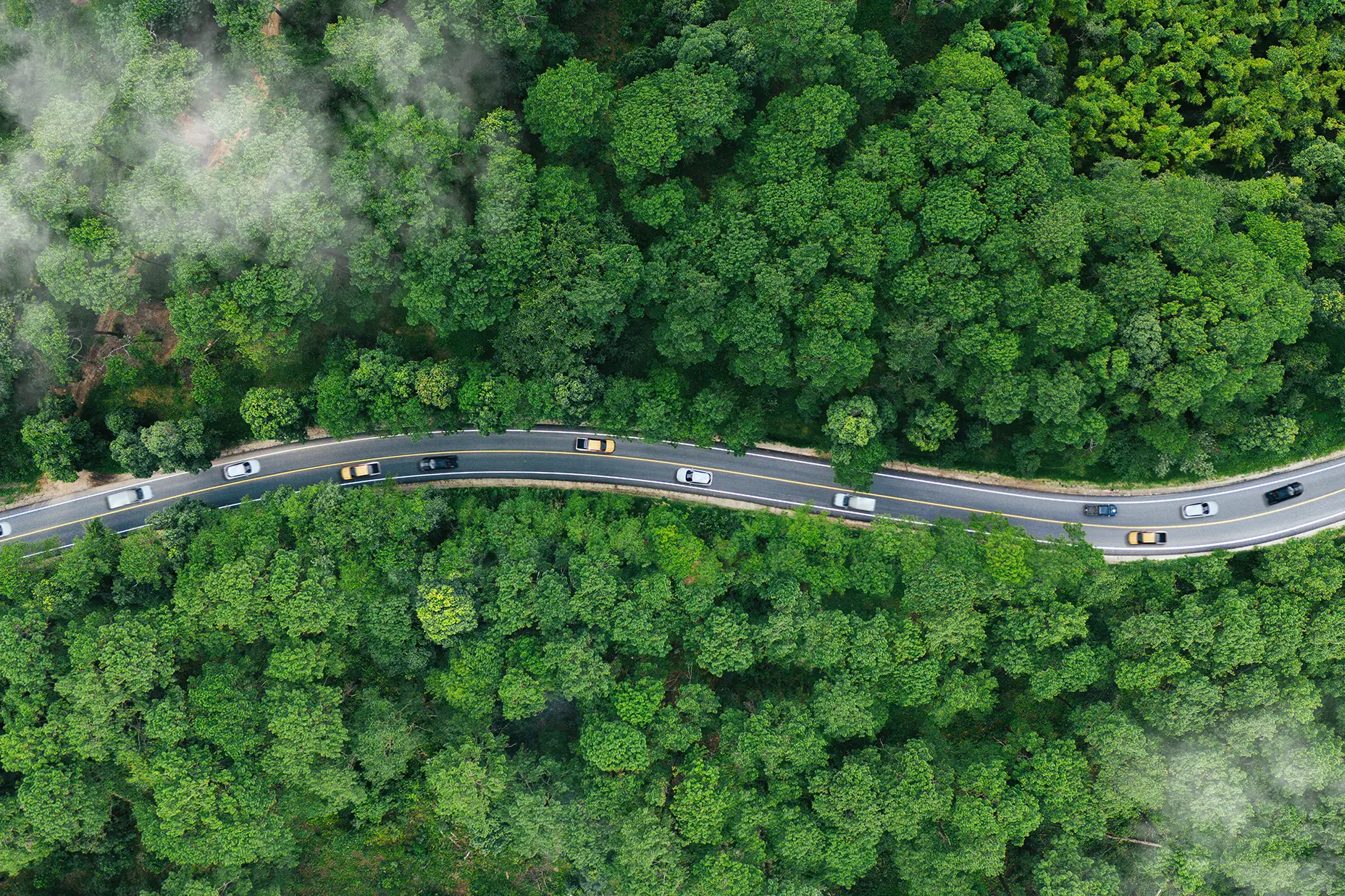 EV car, Electric car or hydrogen energy car on road midst forest and natural.